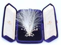 Diamond Tiara Brooch Aigrette Comb Original Box Collingwood, 1900