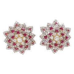 Diamants et rubis, boucles d'oreilles à pince en or blanc/jaune 18 ct, motif fleurs/étoiles