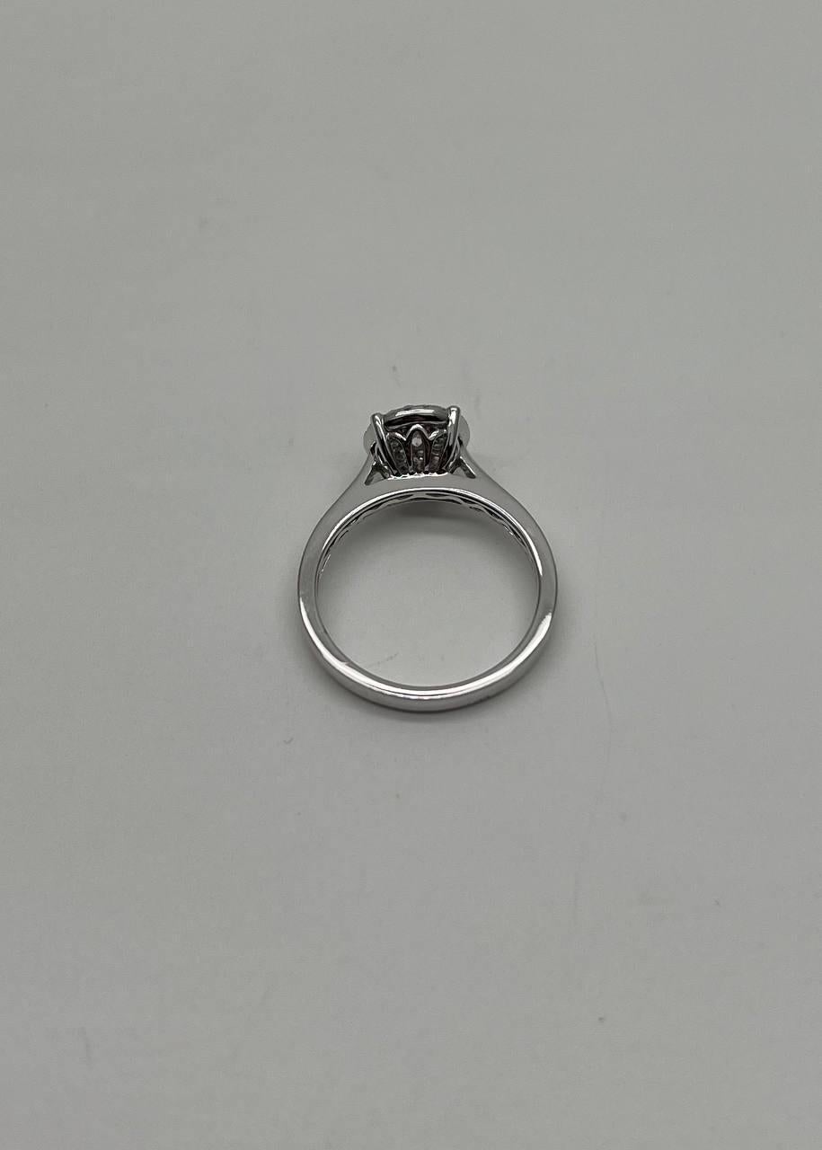 Diamants Pave Set Cluster Halo Set 14K White Gold Statement Ring Neuf - En vente à Oakton, VA