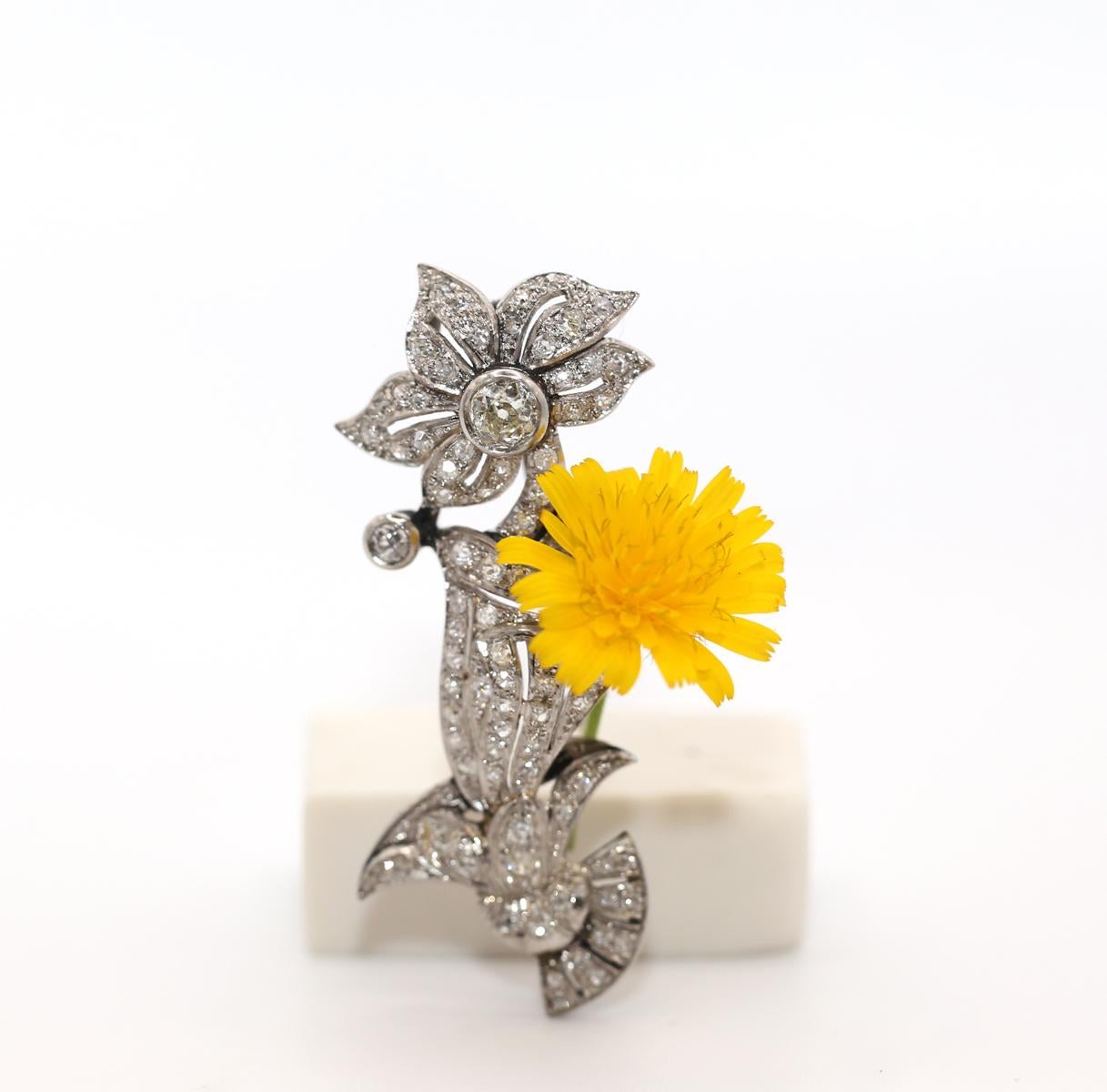 Broche de flor de ramo de oporto con diamantes, 1890 5
