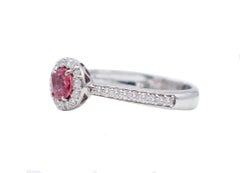 Diamonds, Ruby, 18 Karat White Gold Modern Ring