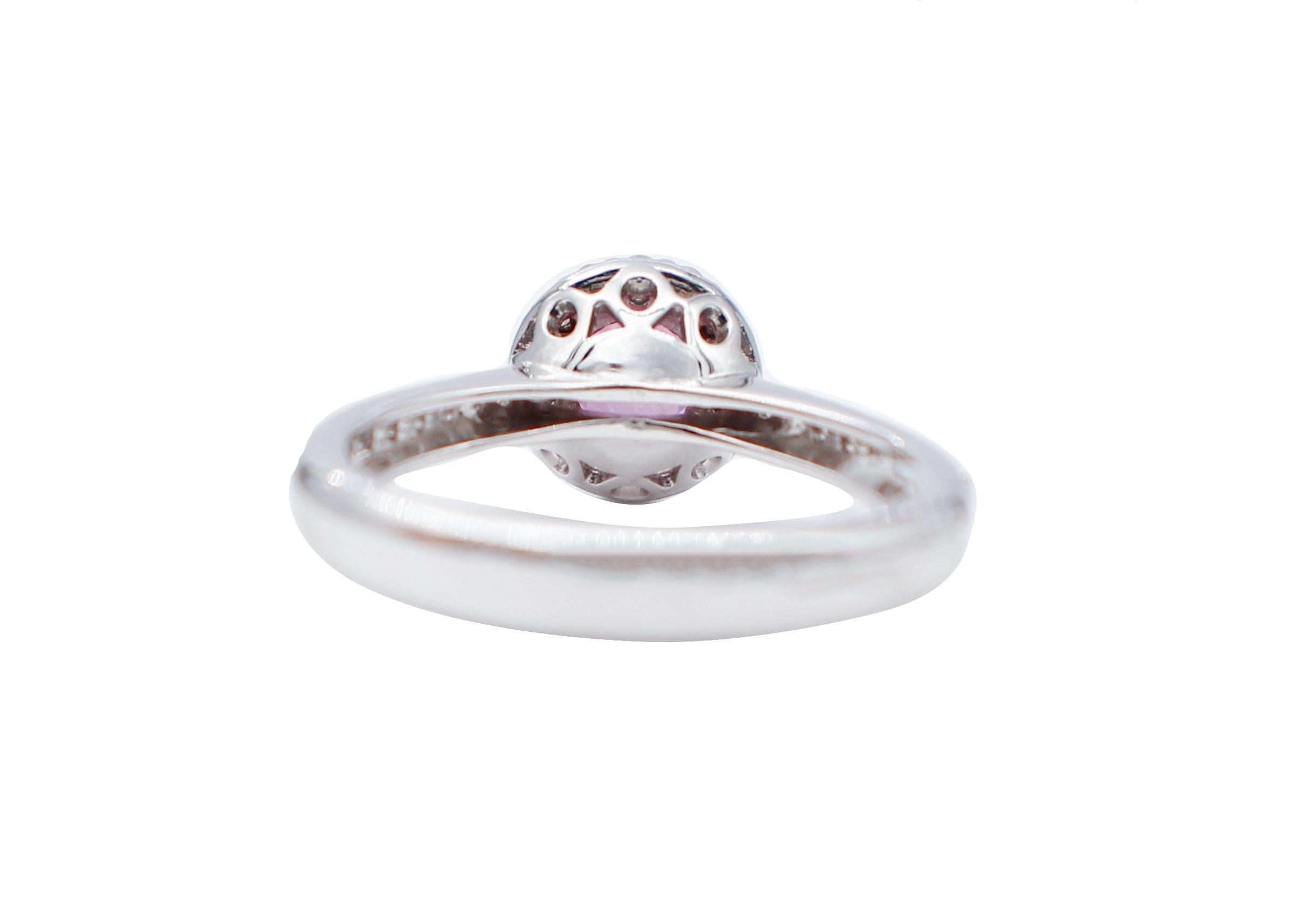 Round Cut Diamonds, Ruby, 18 Karat White Gold Modern Ring For Sale