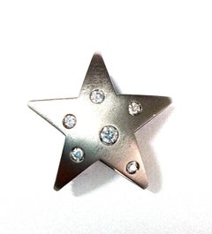 Diamanten Titan 18 KT Weißgold Stern-Anhänger Halskette