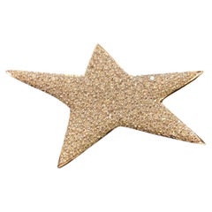 Diamonds White Gold Brooch