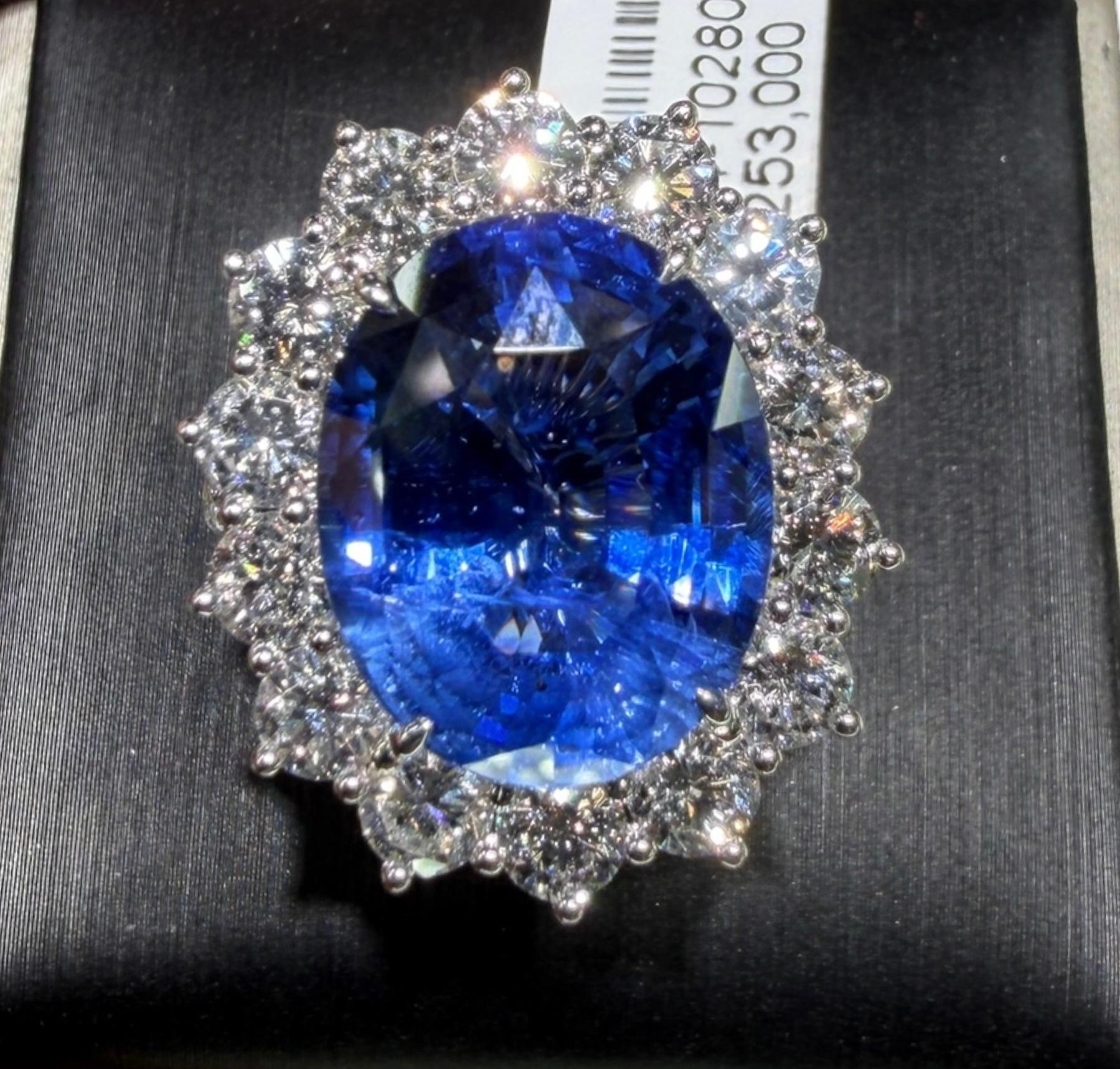 Diana 14,74ct Kornblumenblauer Ceylon Saphir & Diamant Ring in 18K Weißgold (Ovalschliff) im Angebot