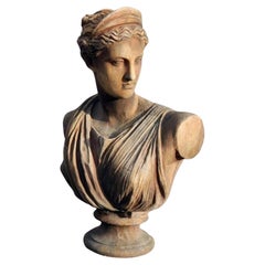 Used Diana Bust in Terracotta, Artemis of Versailles, Early 20th Century