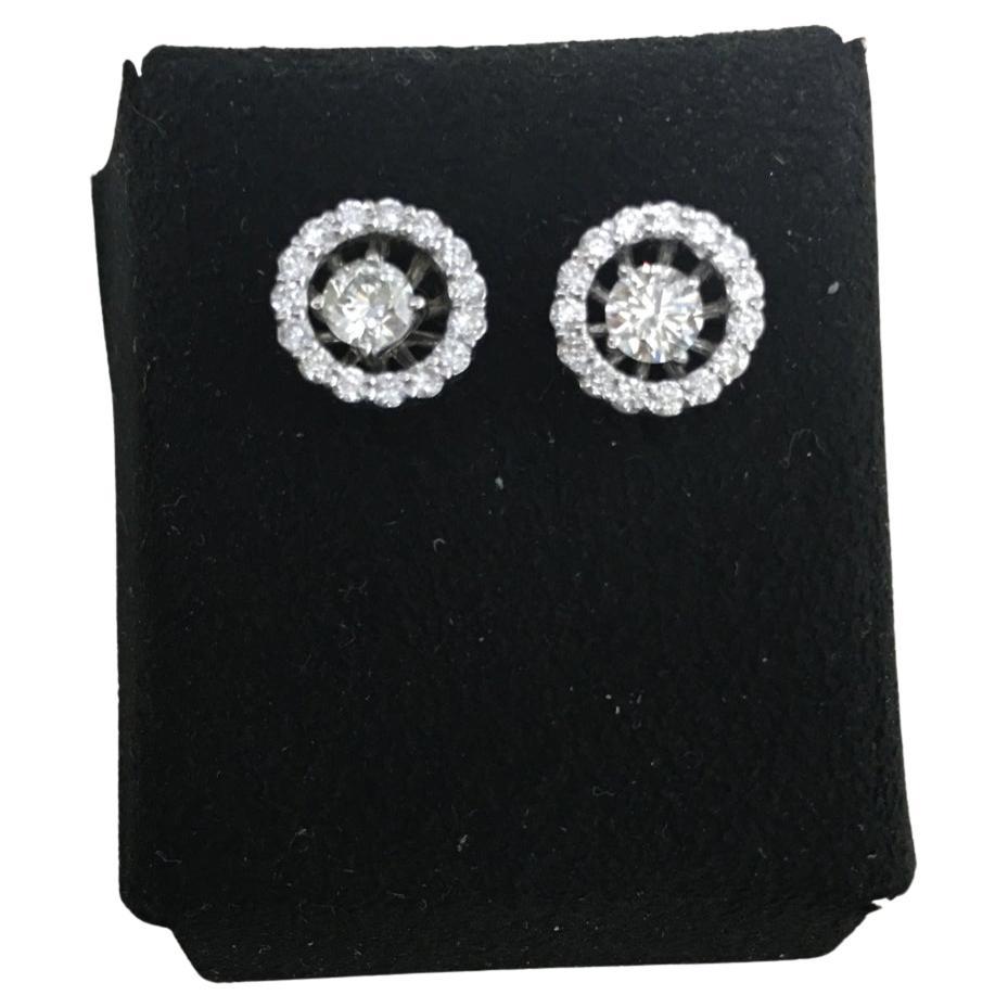 Diana M. 14K White Diamond Stud Earrings