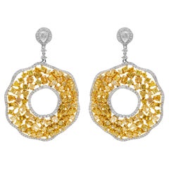 Diana M.  18 kt Weißgold Diamant-Ohrringe mit 15,44 Karat geschmückt 