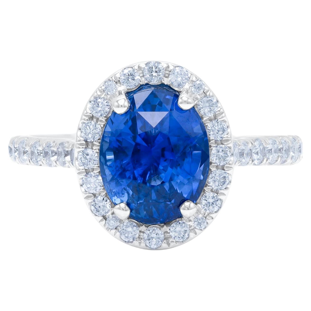 Diana M. 18 kt white gold sapphire diamond ring featuring a 3.26 ct C.Dunaigre  For Sale