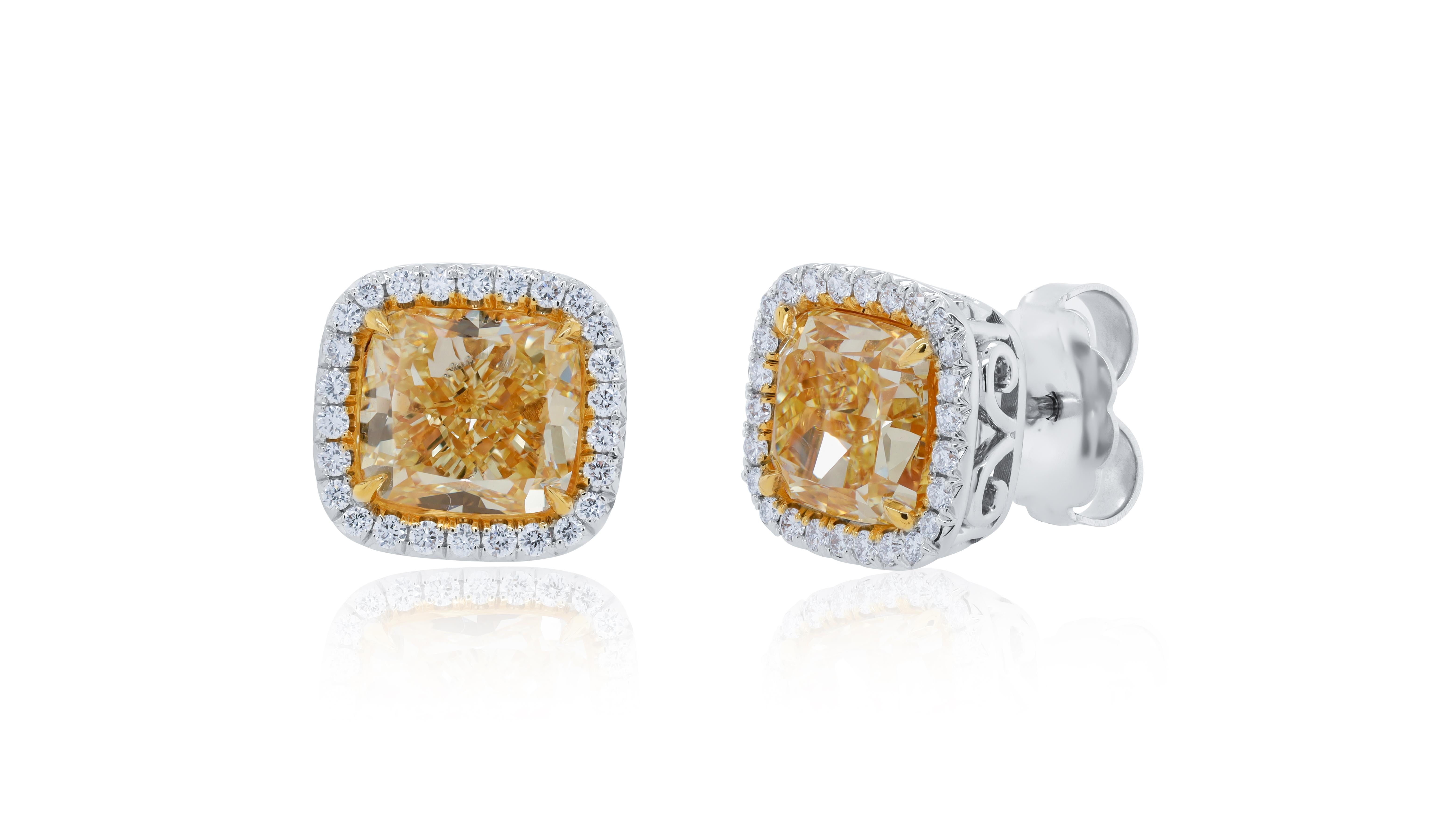 18KT Platin Diamant Ohrstecker, Merkmale 4.00 + 4.02ct  mit 2 GIA-zertifizierten geschliffenen Diamanten fancy yellow VS1-VS2 in einem Diamant-Halo .60cts von Diamanten an den Seiten.
Diana M. ist seit über 35 Jahren ein führender Anbieter von