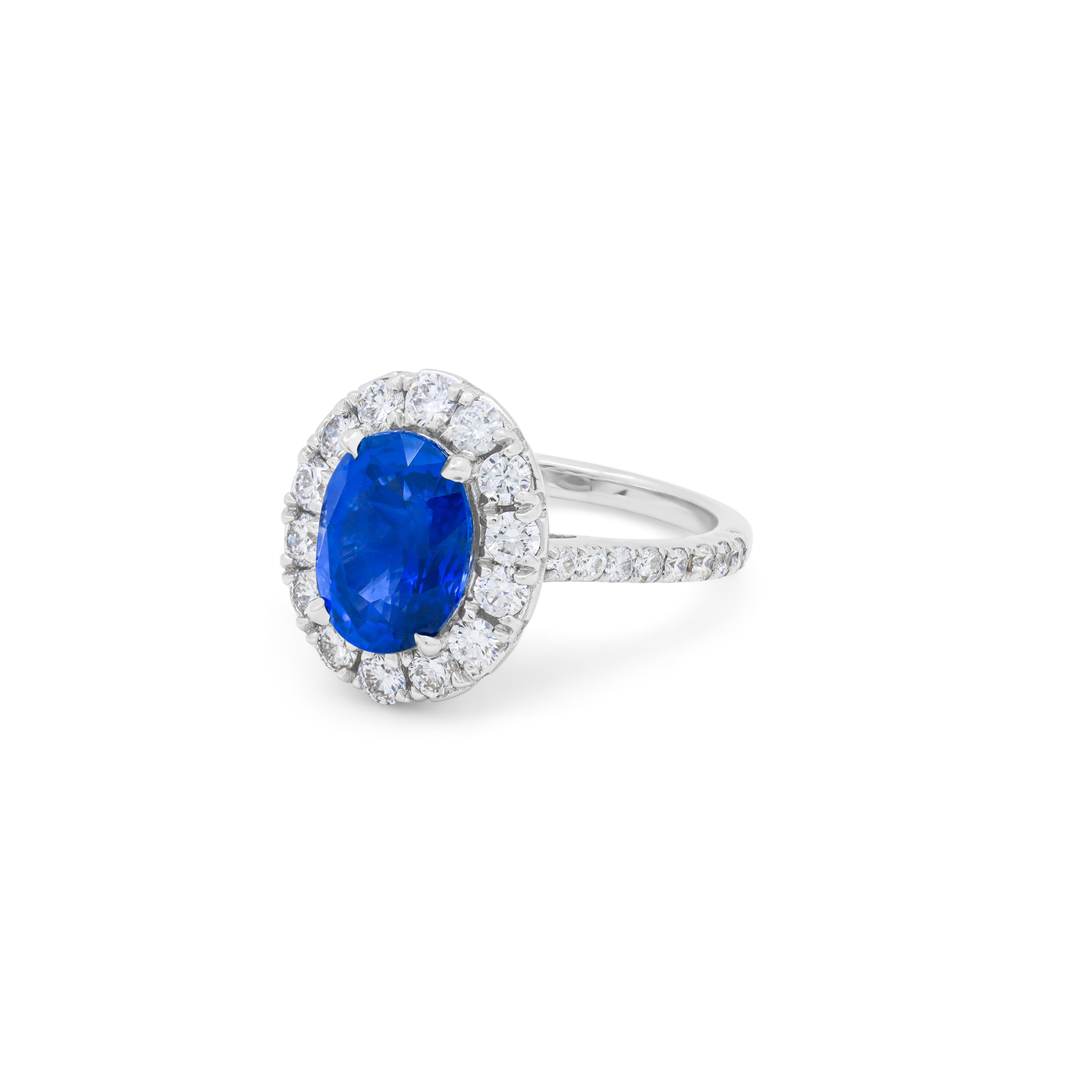 18kt white gold sapphire ring set with 3.60ct sapphire and 1.00cts of diamonds in halo design.
Diana M. is a leading supplier of top-quality fine jewelry for over 35 years.
Diana M is one-stop shop for all your jewelry shopping, carrying line of