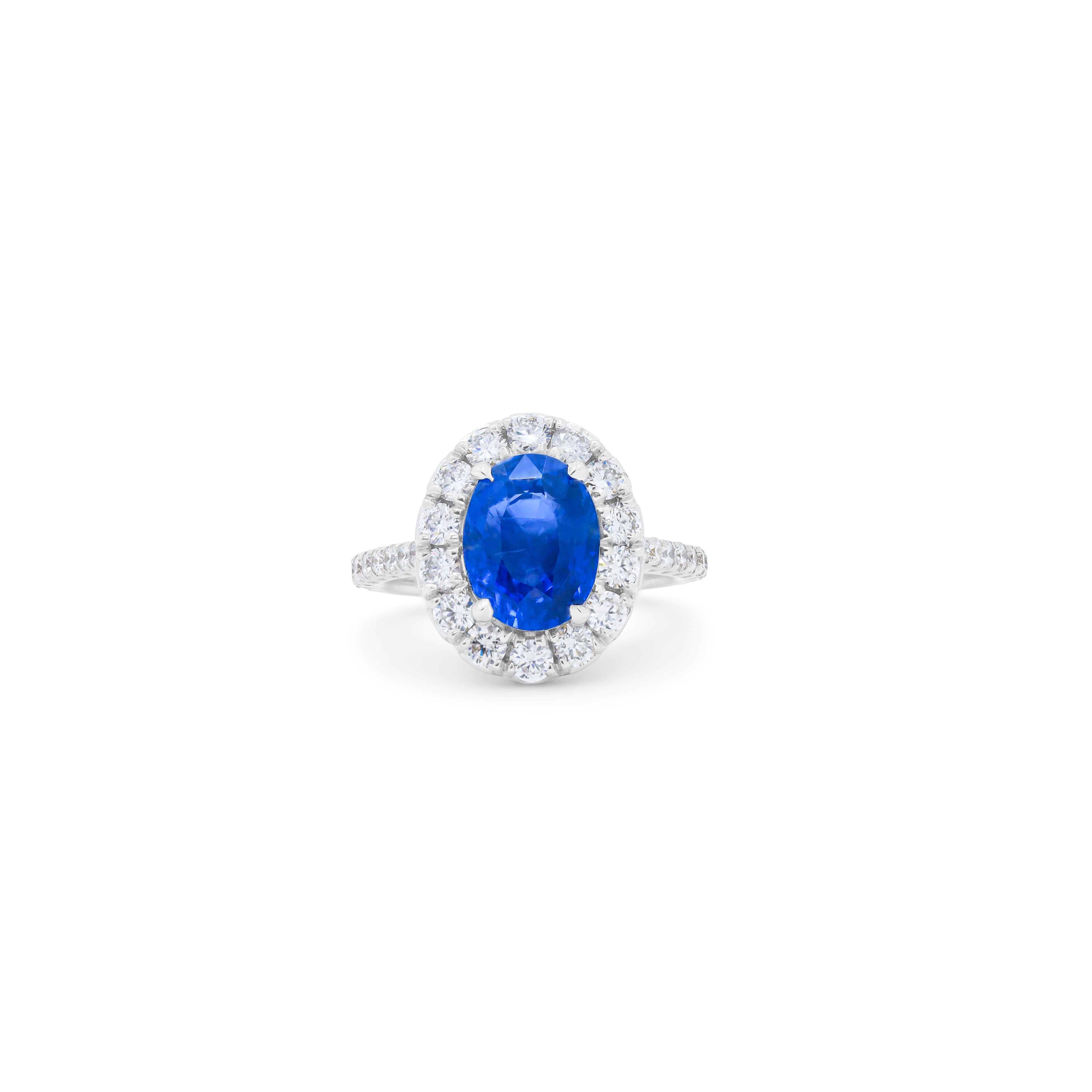 Modern Diana M. 18kt wg sapphire ring set with 3.60ct sapphire and 1.00cts of diamonds  For Sale