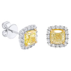 Diana M GIA Certified 3.14 Cts  Diamond Halo Studs in 18Kt White Gold