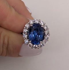 A&M Platine 6.83ct Saphir ovale et 1.90cts Diamant Bague Halo