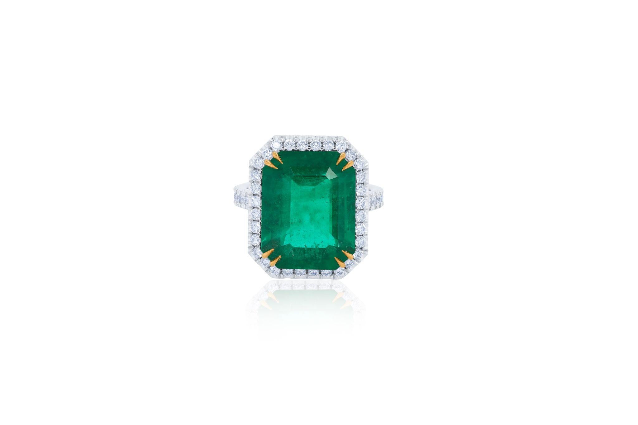 Platinum and 18 kt yellow gold emerald diamond ring featuring a 9.11 ct green emerald with 1.50 cts tw of micropave round diamonds around in a halo setting.
Diana M. is a leading supplier of top-quality fine jewelry for over 35 years.
Diana M is