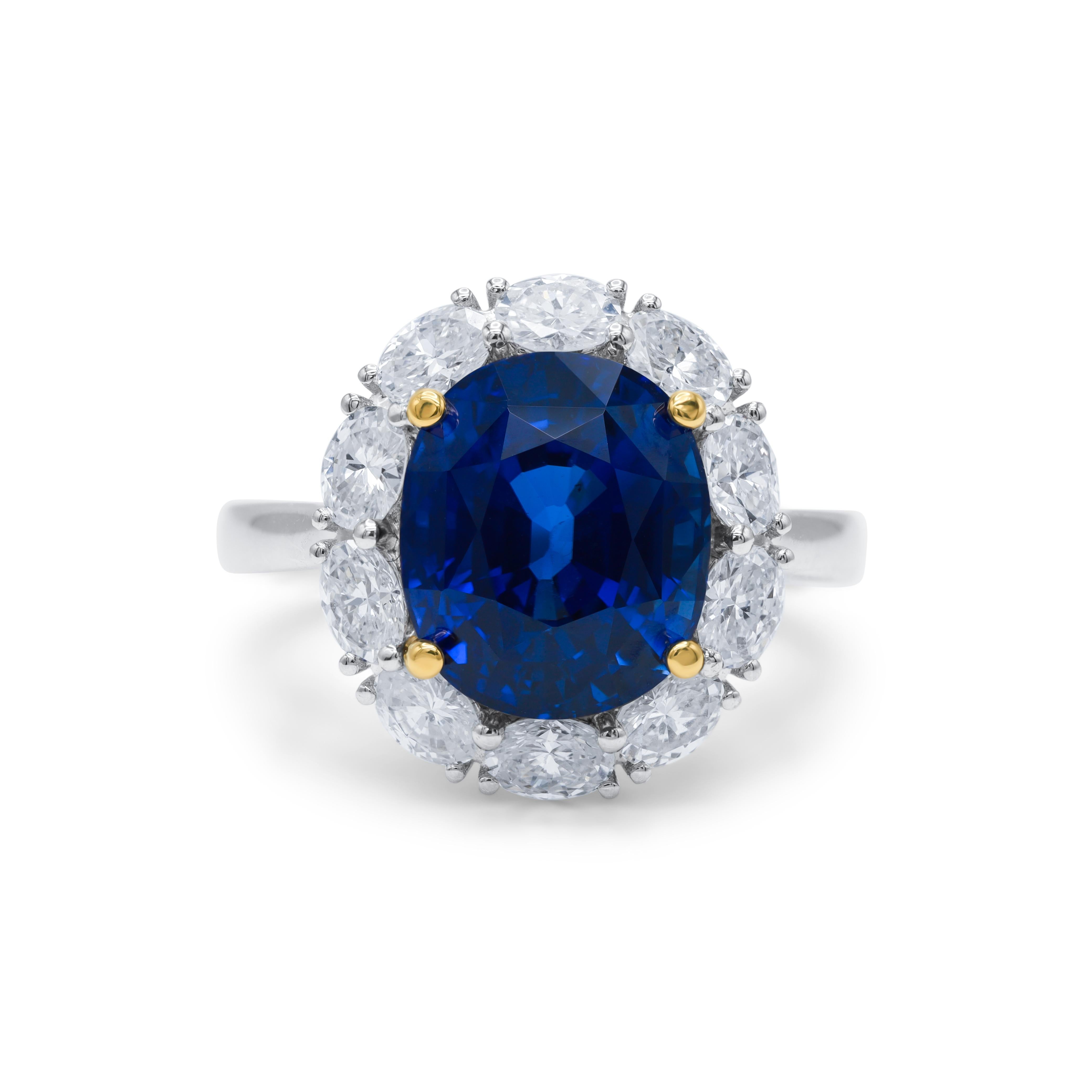 Platinum sapphire and diamond Princess Diana ring featuring a 7.94 ct GIA certified natural oval cut blue sapphire (GIA#6223036519 ) surrounded by 1.39 cts tw of round diamonds.
Diana M. is a leading supplier of top-quality fine jewelry for over 35