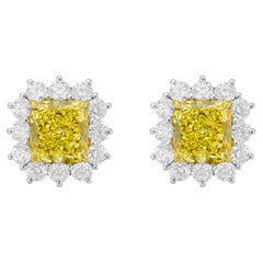 Diana M. yellow diamond Stud Earrings 6.79ct yellow Diamonds 3ct of halo