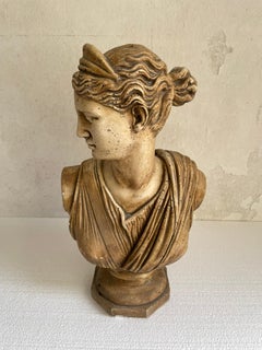 "Diana" Plaster Bust, Italy 1960 ca