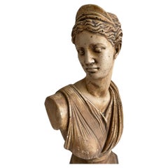 "Diana" Plaster Bust, Italy 1960 ca