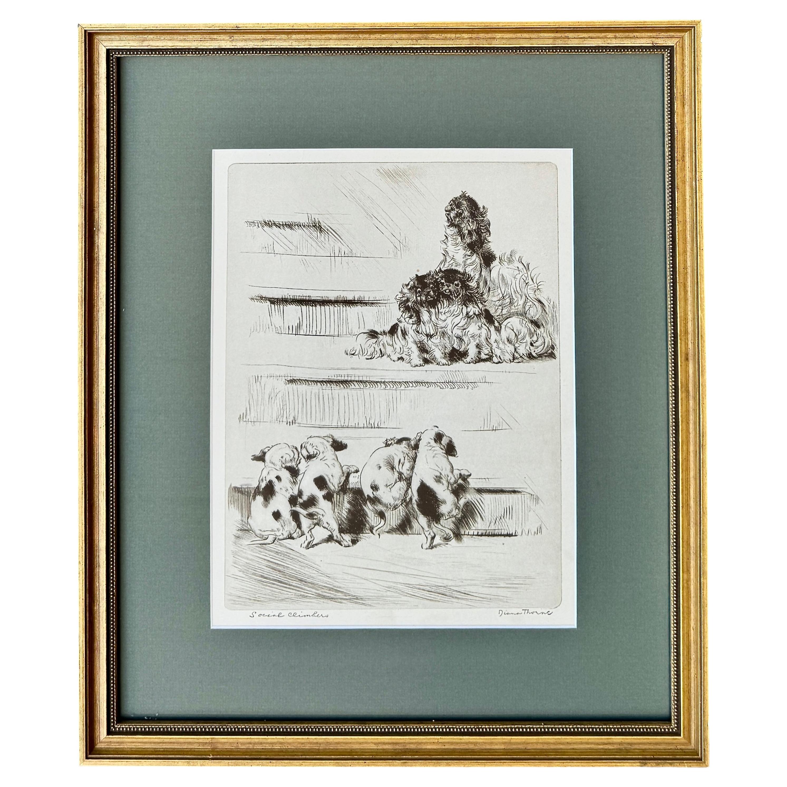 Diana Thorne "Social Climbers" Signed Dog Etching, Framed, Circa 1935