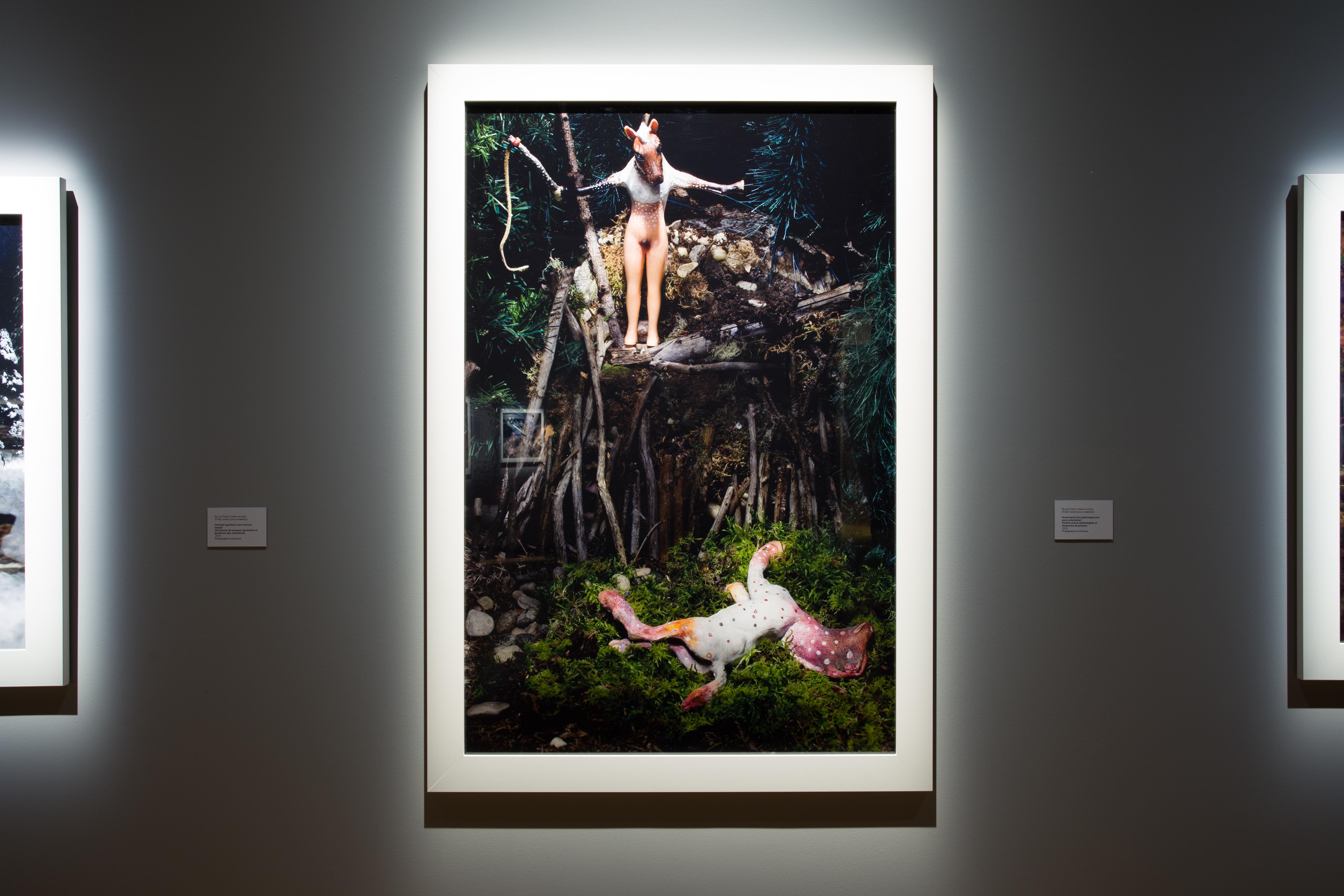 Pferdekopf-Mädchen (pathologe und Pony- Entertainer) – Photograph von Diana Thorneycroft