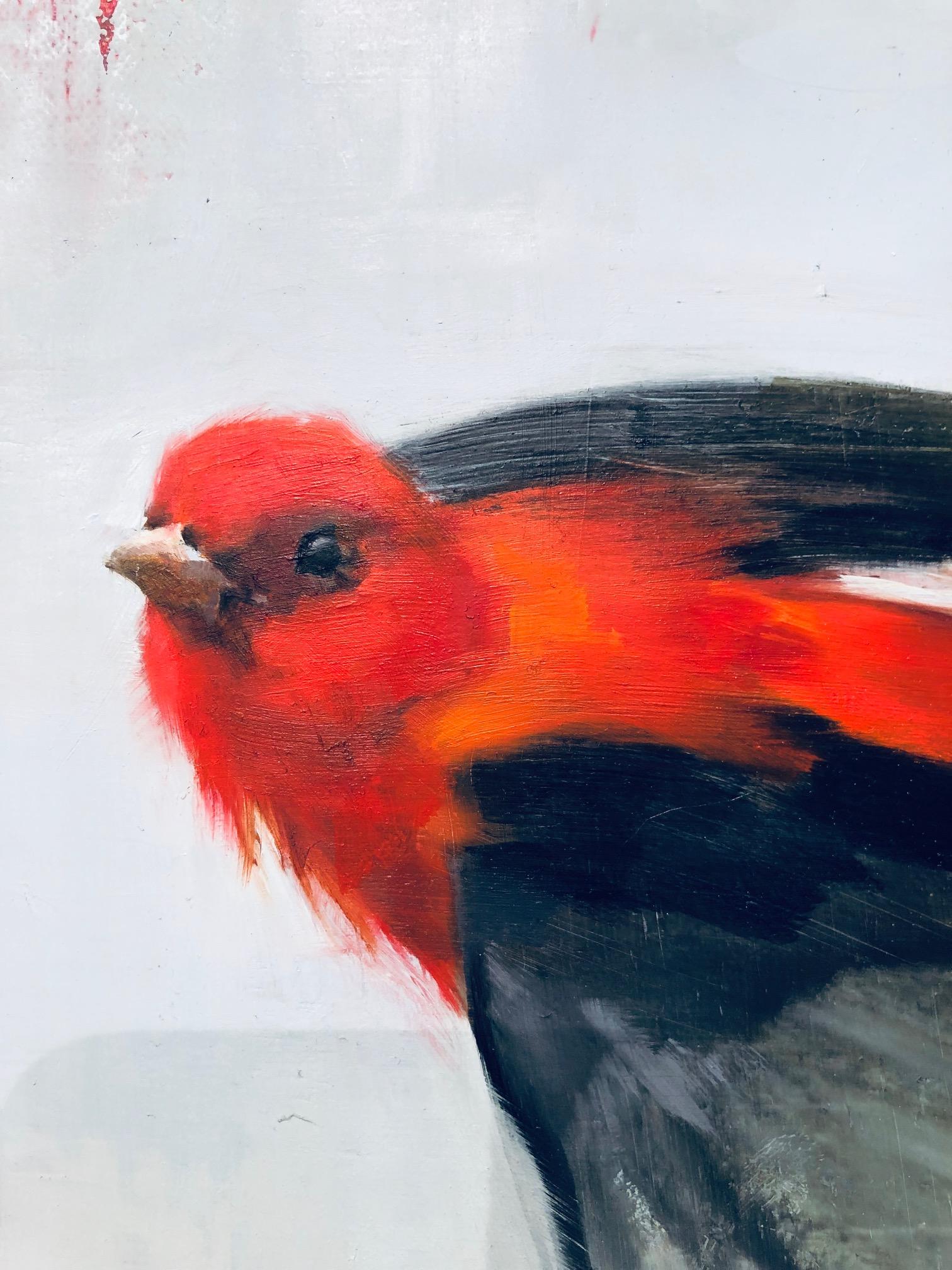 scarlet tanager spiritual meaning