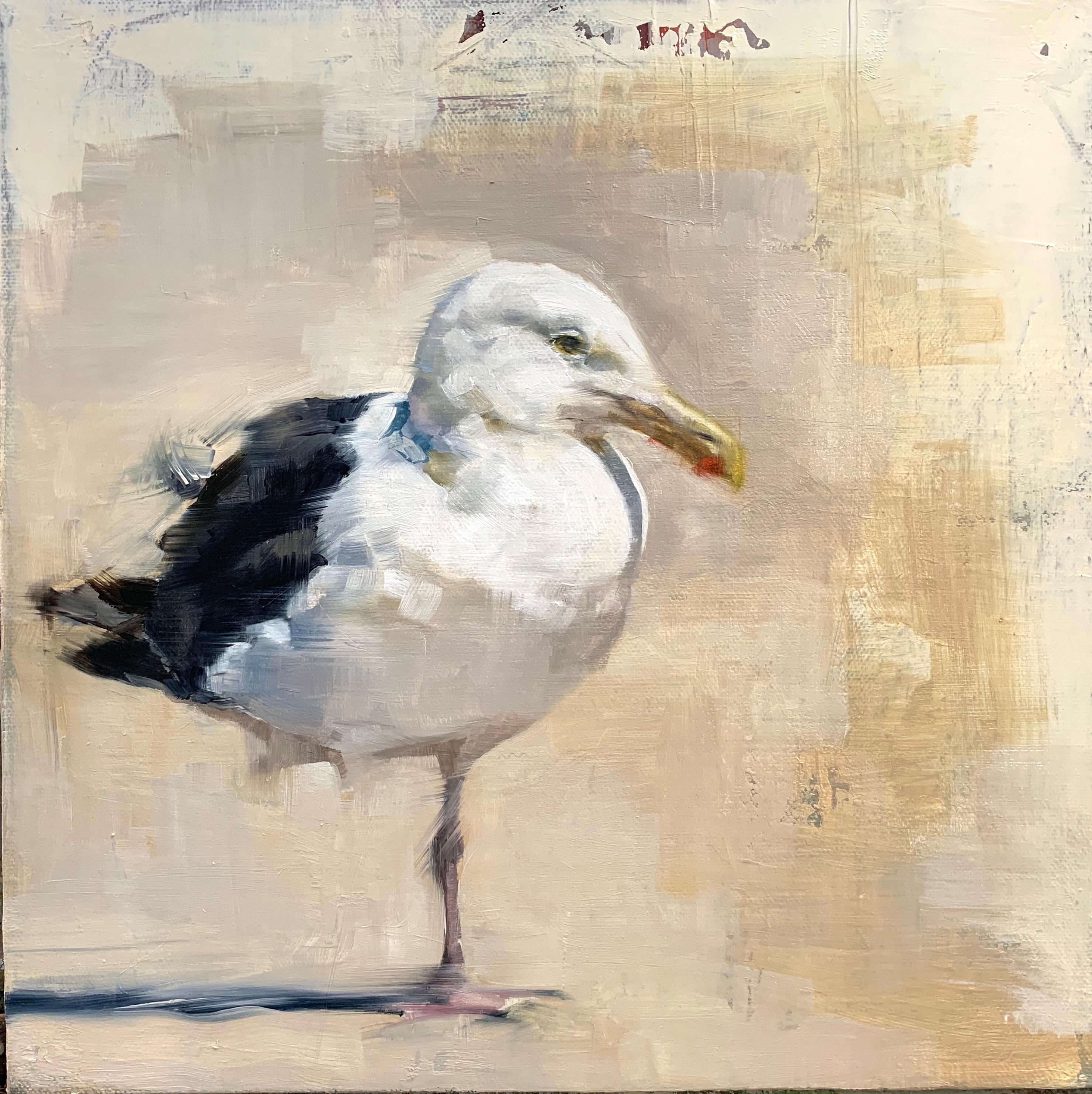 Diana Tremaine Animal Painting - Seagull No. 1 — 12 x 12 inch oil on canvas seagull painting - a gem!