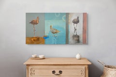Shorebirds