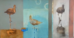 Shorebirds