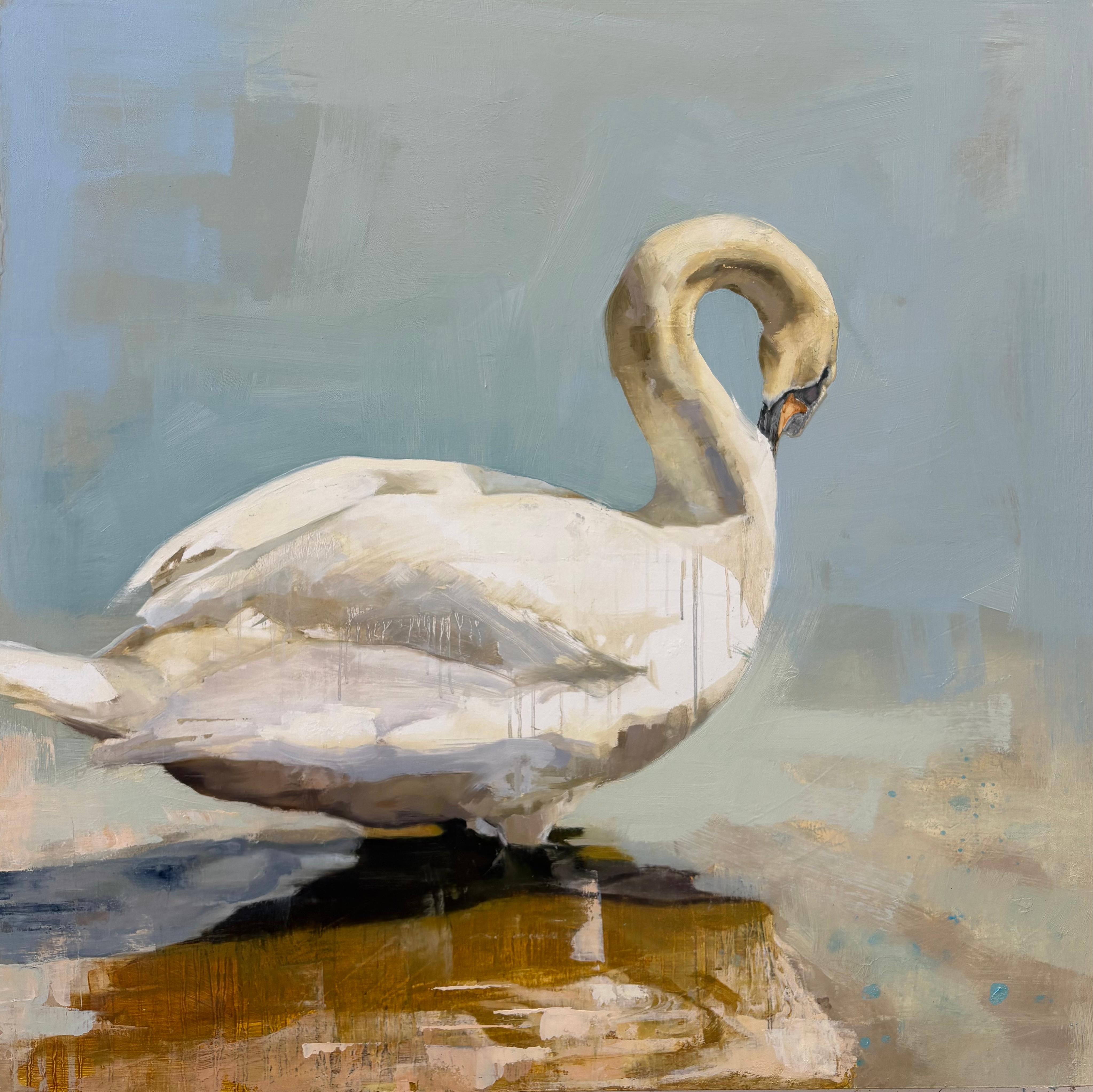 Swan