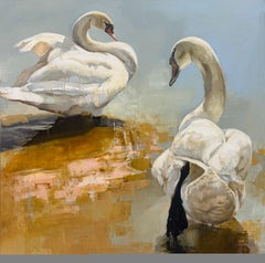 Cisnes