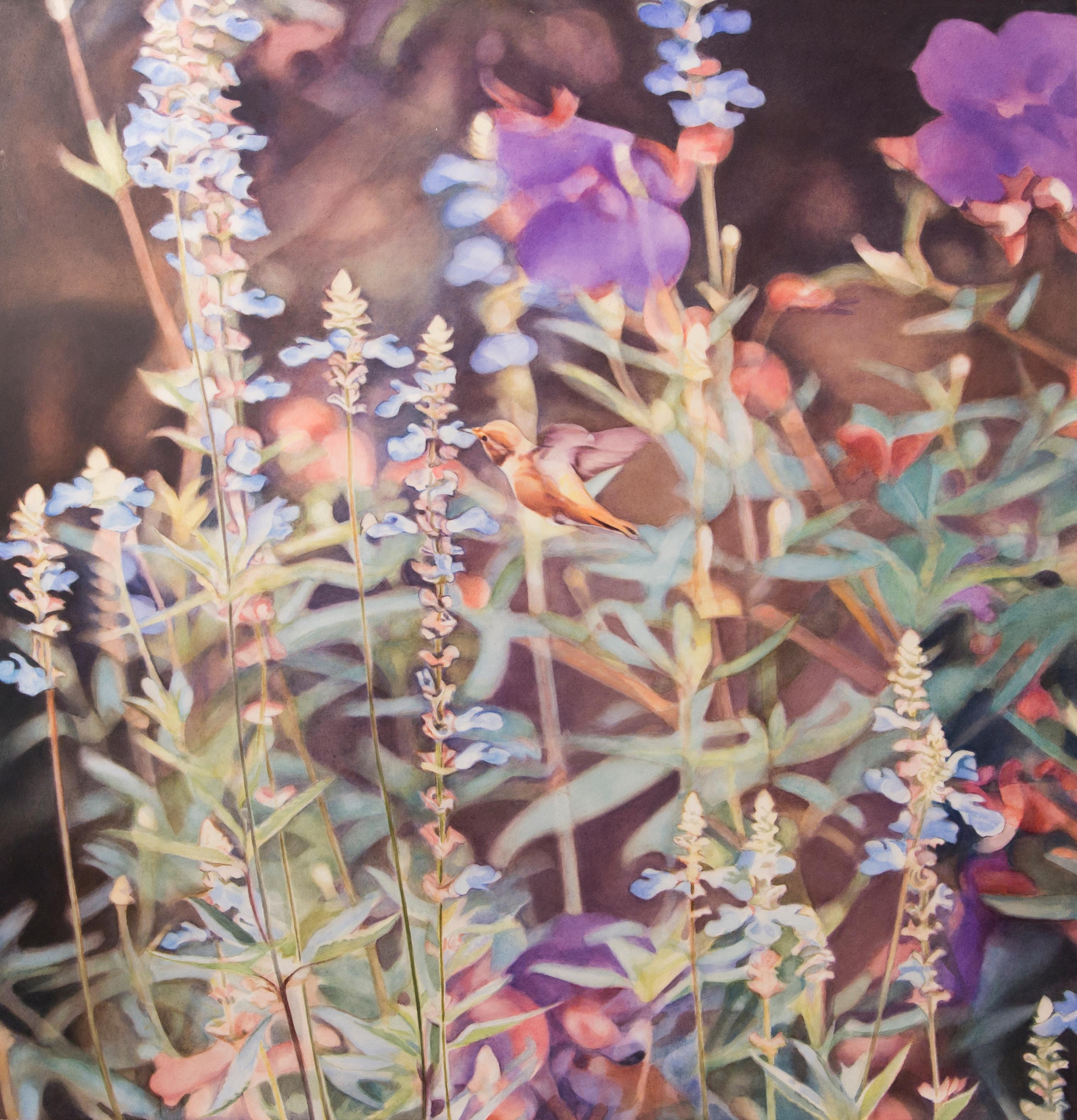 Hummingbird in Salvia Garden - Painting by Diane Andrews Hall