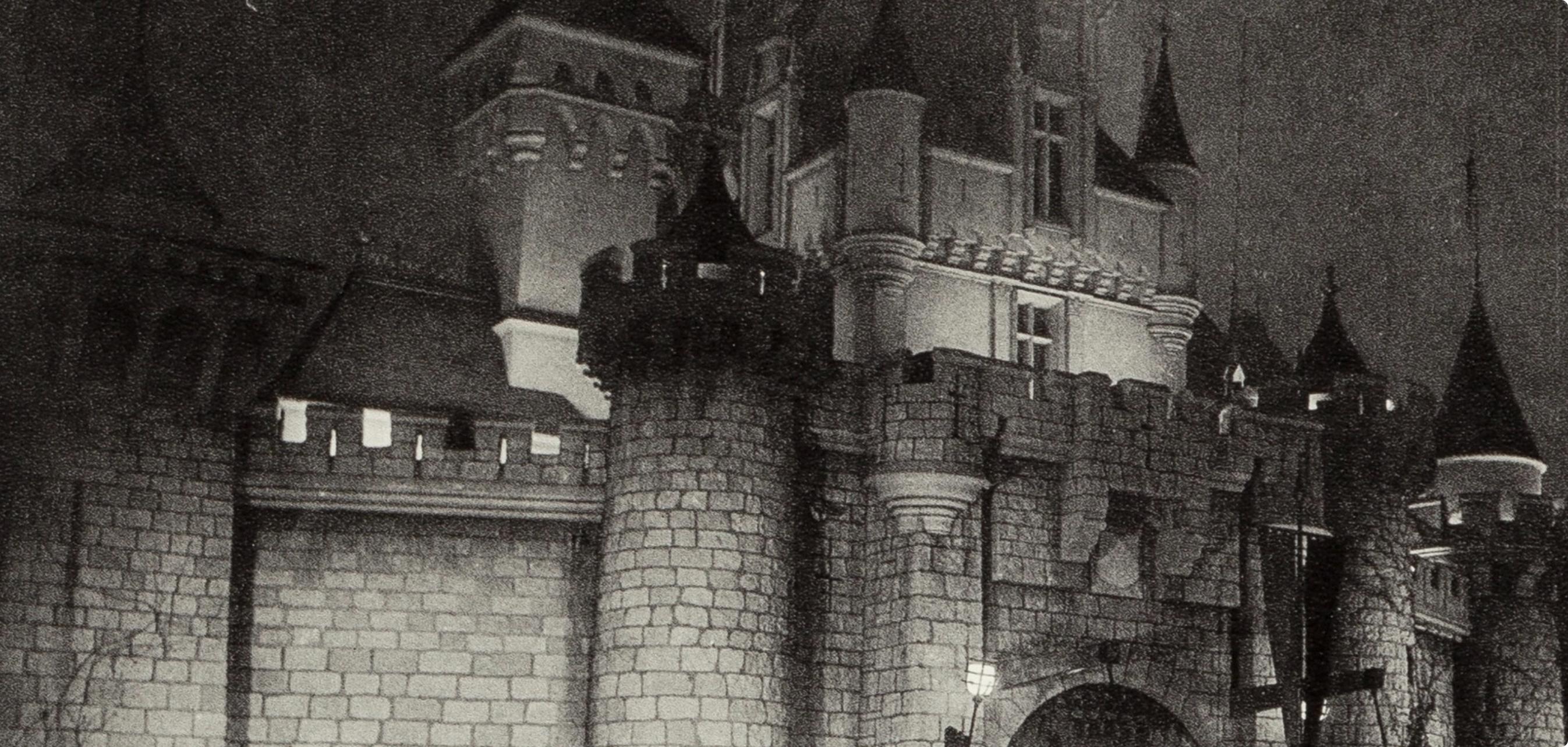 Arbus, Un castello di Disneyland, California, Carteras Electa Editrice (después) - Photograph de Diane Arbus