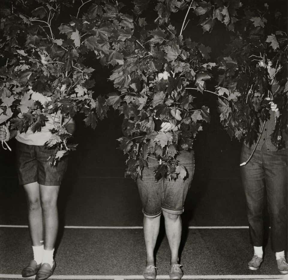 Camp Lakecrest campers as trees, Dutchess County, NY