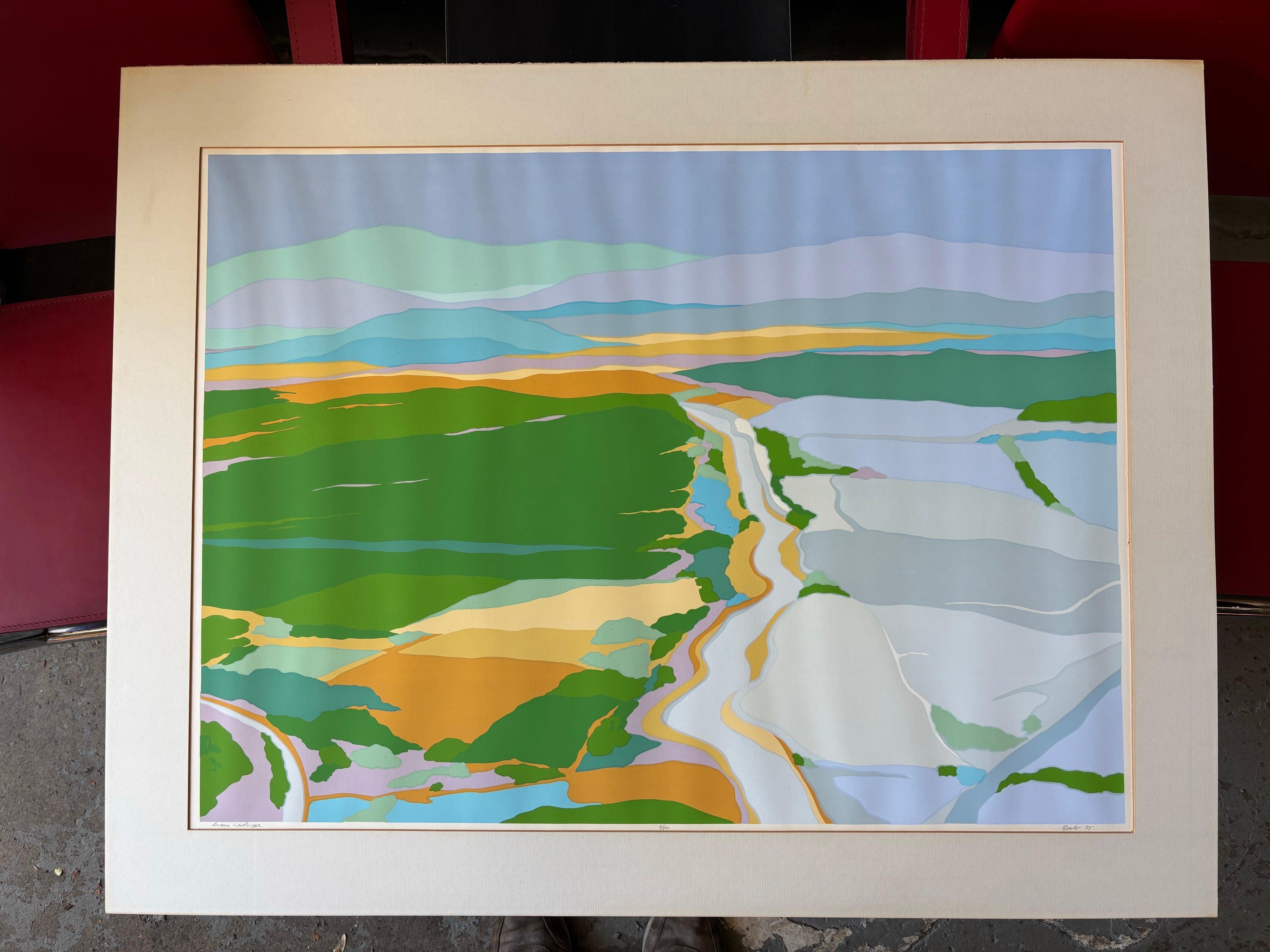 Diane Burko Lithographie en couleur de 1973 6/80 de l'édition.  Paysage de l'Arizona avec de belles couleurs !  Encadré et prêt à être accroché !