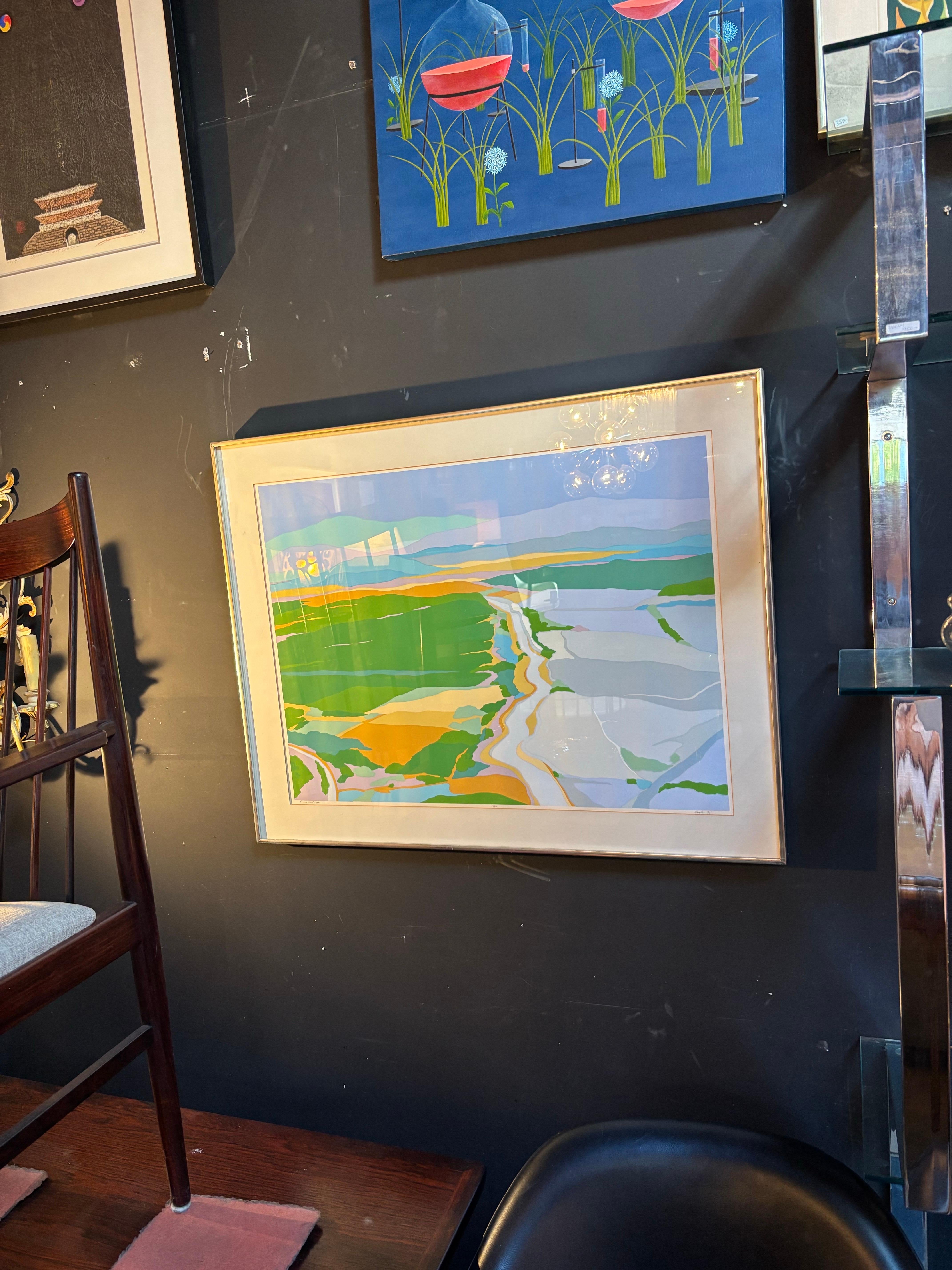 Papier Diane Burko Paysage d'Arizona Lithographie en couleurs 1973 édition 6/80 en vente