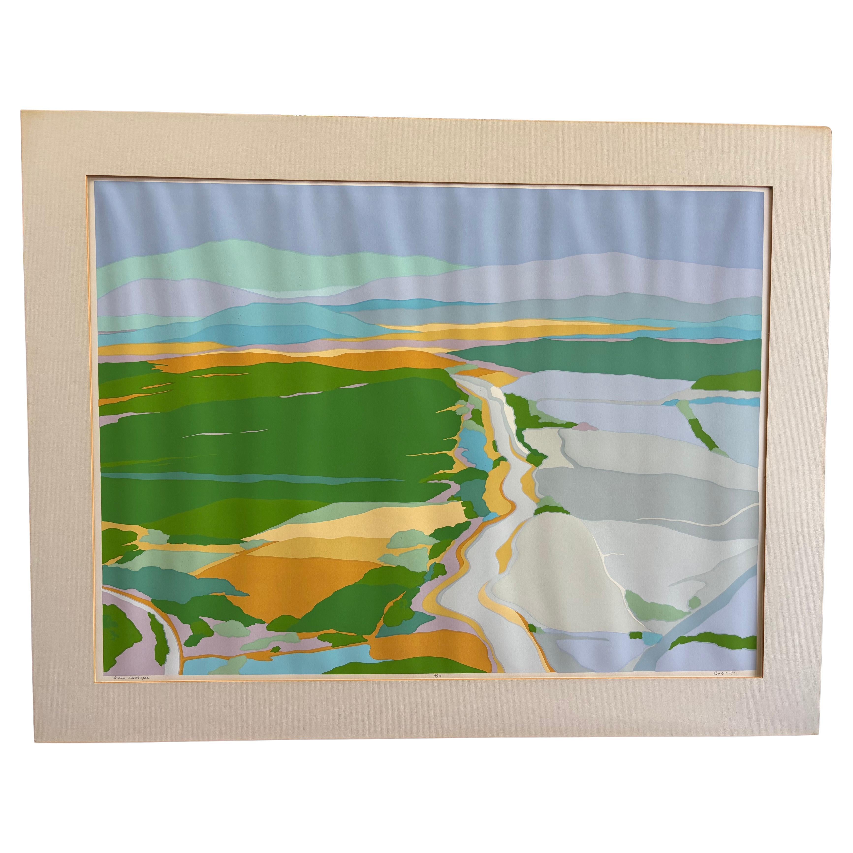 Diane Burko Paysage d
Arizona Lithographie en couleurs 1973 édition 6/80