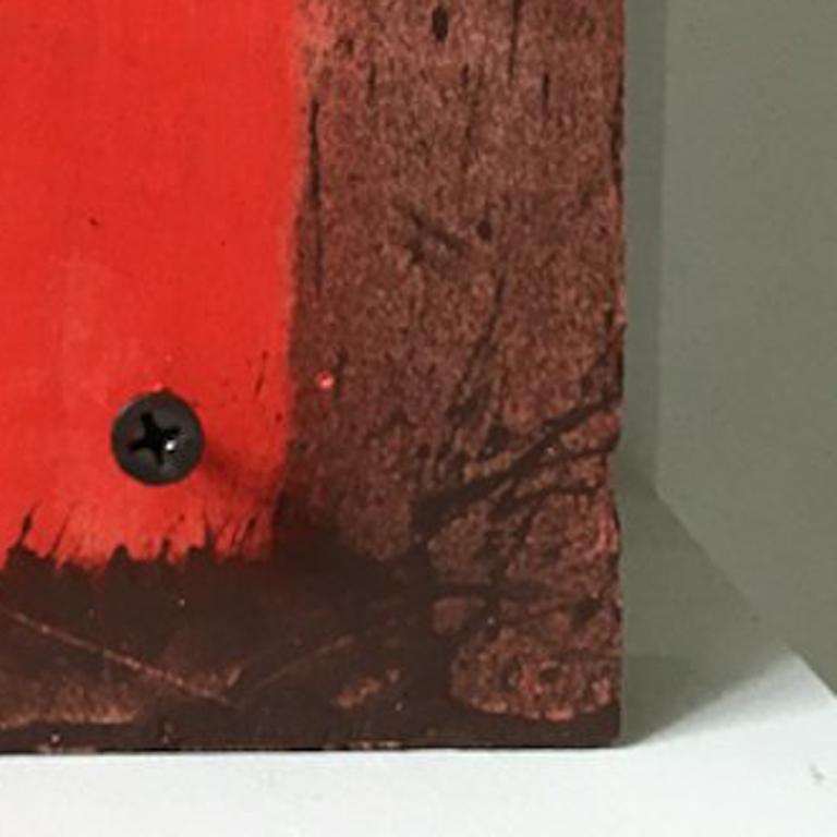 Diane Englander, Red and Wood III, Wood, Mixed Media For Sale 1