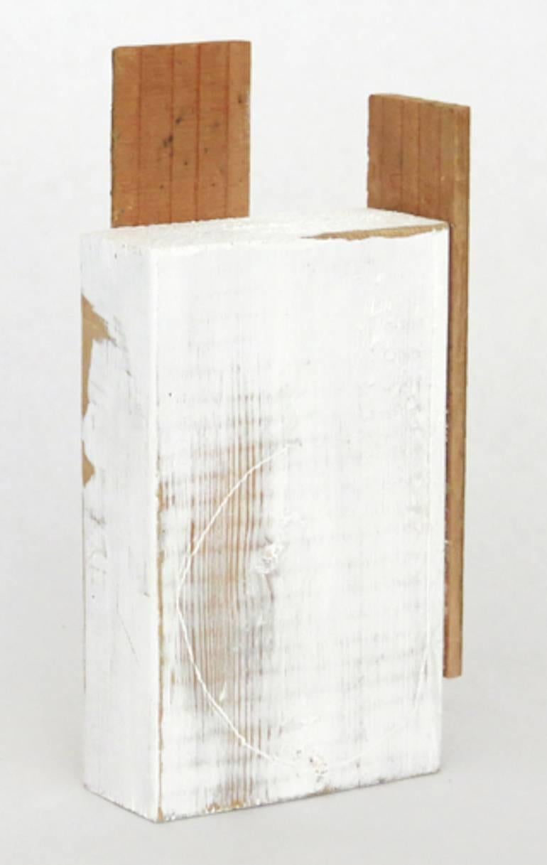 Diane Englander, Blanco y madera XIV, 2015, Madera, Técnica mixta