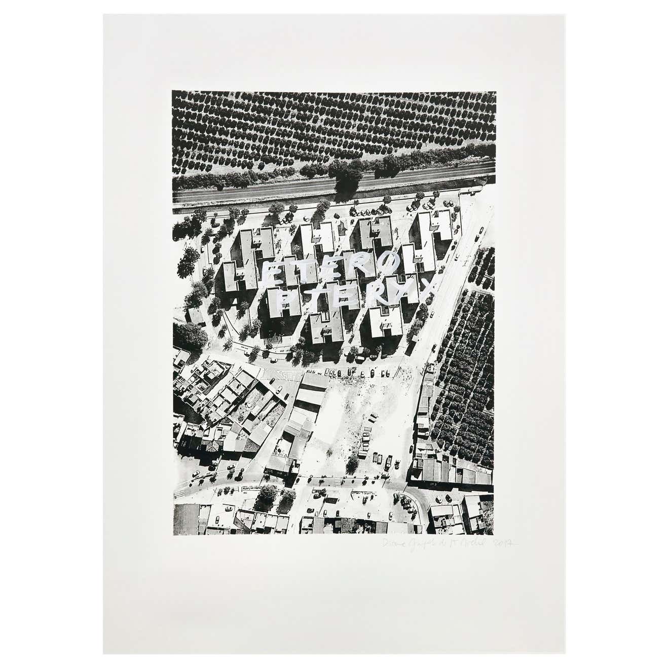 Diane Guyot De Saint Michel Arte Contemporanea Litografia Cantillana Opera d'arte 2017