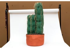 Scultura di design di Diane Reese "Comfy Cactus", 1978