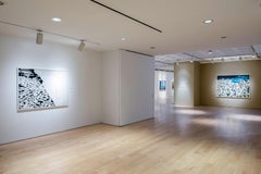 The Arctic Melt, Contemporary Photography