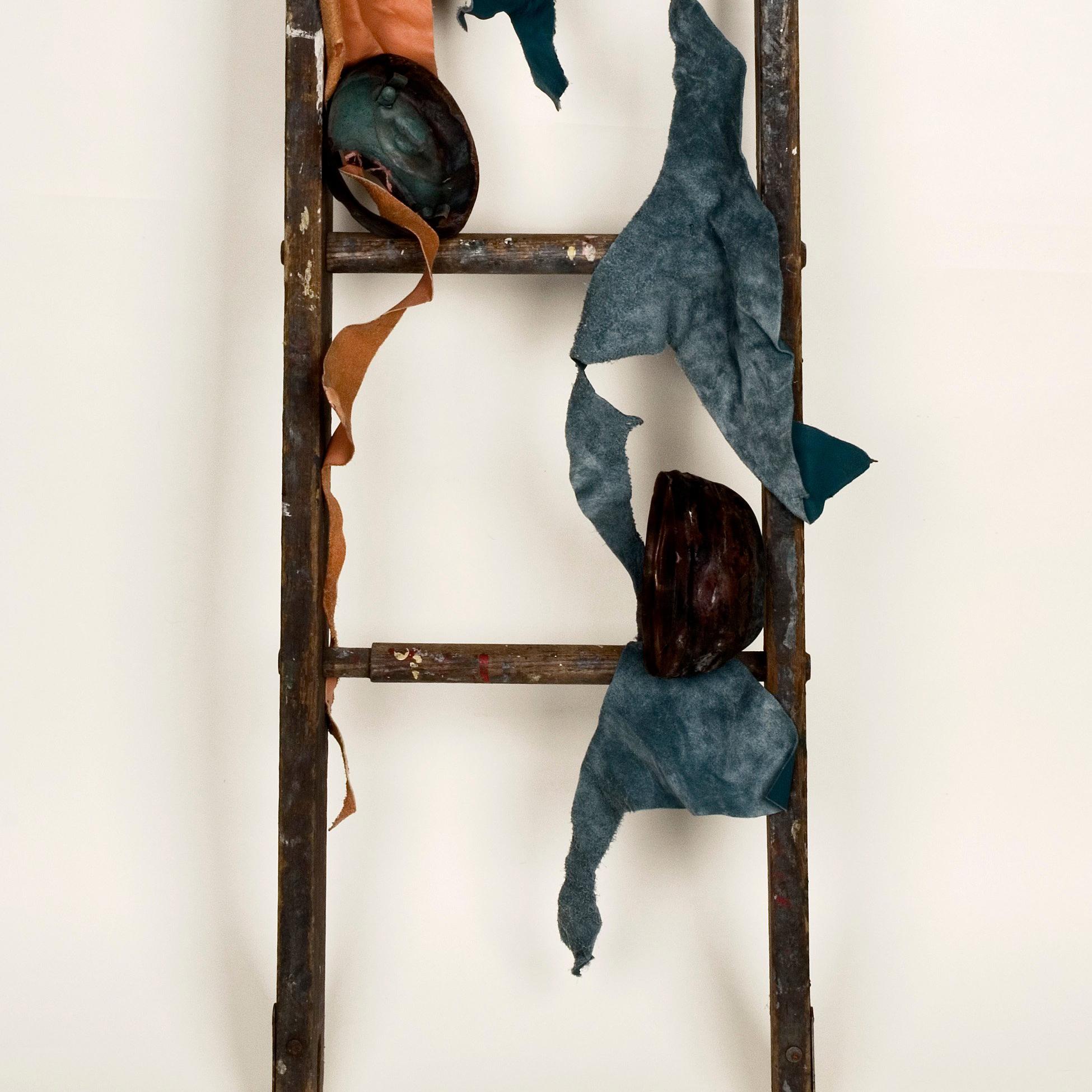 dianne baker