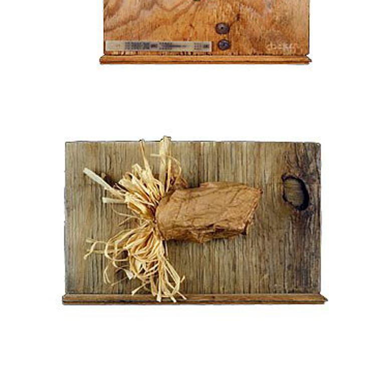 Wood equals paper - Conceptual Sculpture by Dianne Baker