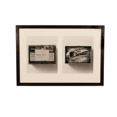 "Raven Skull" Diptych from Comparative Anatomy Portfolio Pacific Northwest 1993