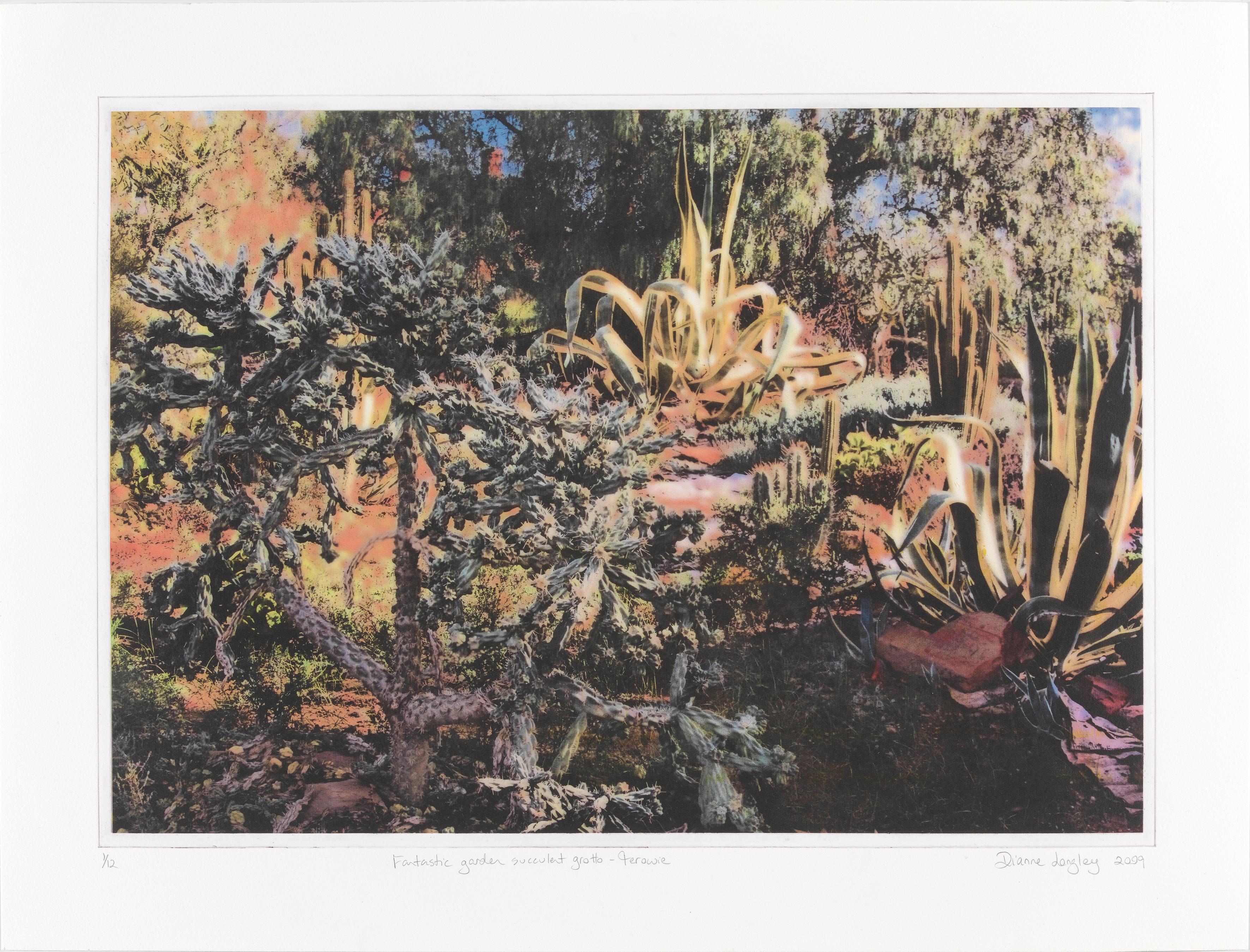 Dianne Longley Print - Fantastic garden succulent grotto - Terowie, intaglio colour, landscape print
