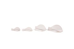 Sculptures de poissons acryliques Dick Seeger
