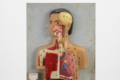 Didactic Anatomical Teaching Device, Hungary, Late 1920s