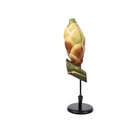 Antique Scientific Didactic Model of the Yew Seed, Germany made in the Twenties