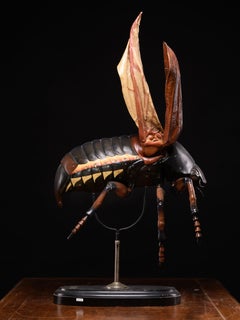Didactical Model of Cockchafer or May bug sold by the “ Denoyer-Geppert Company